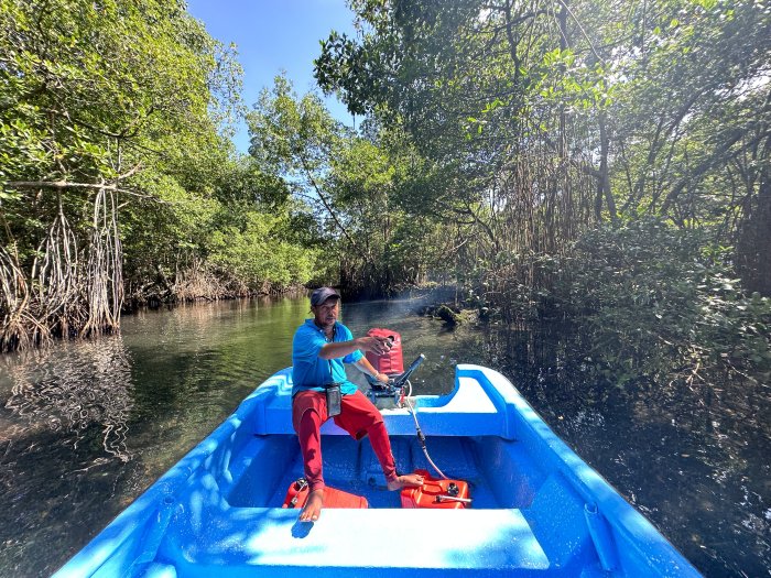 Carribean Snorkling Experience - Test